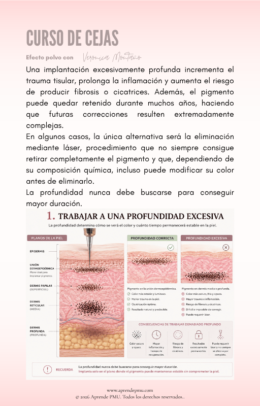 Diagrama del manual sobre la profundidad correcta del pigmento en la piel